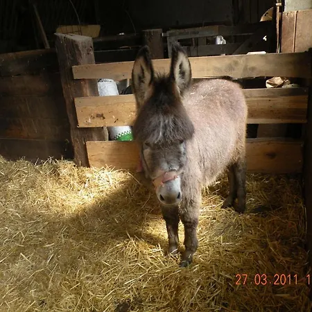 Guest house Tofererhof *