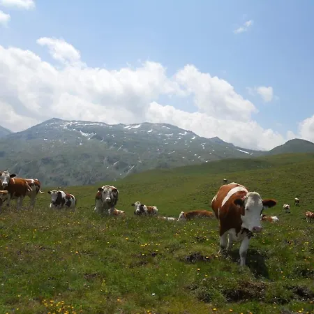 Tofererhof Gæstehus Bad Hofgastein